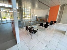 ブロードアベニュー国分寺 物件写真 建物写真6
