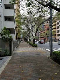グランディオール広尾テラス 外観 物件画像4