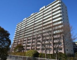 シェルゼ木場公園 写真