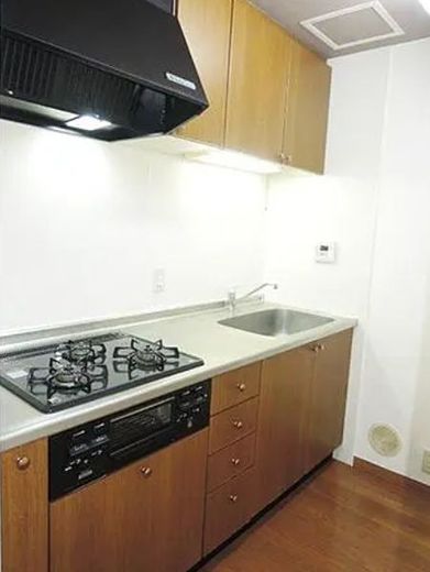 グッドビュー川崎 物件写真 建物写真10