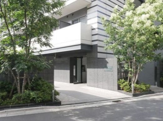 ラフィスタ川崎Ⅱ 外観
