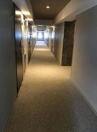 ラグゼナ平和島 外観