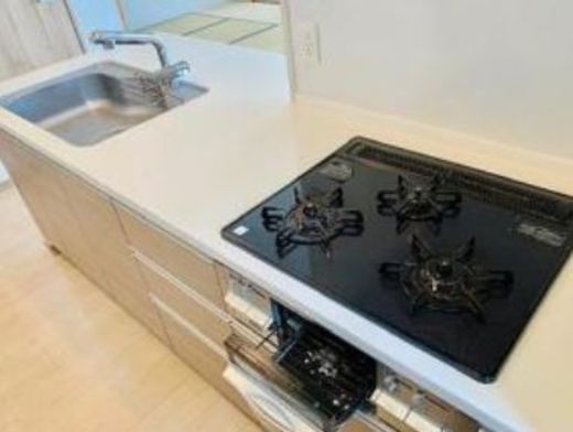 ブリリア南林間ハイライズ 物件写真 建物写真13