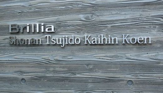 ブリリア湘南辻堂海浜公園 物件写真 建物写真4