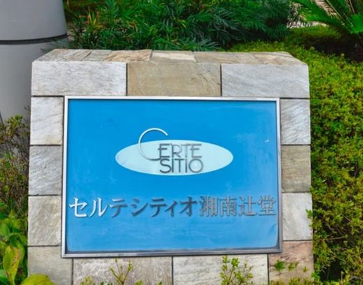 セルテシティオ湘南辻堂 物件写真 建物写真4