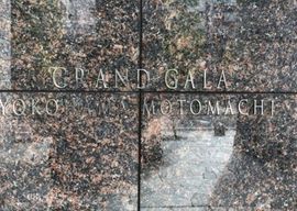 グランド・ガーラ横濱元町 写真