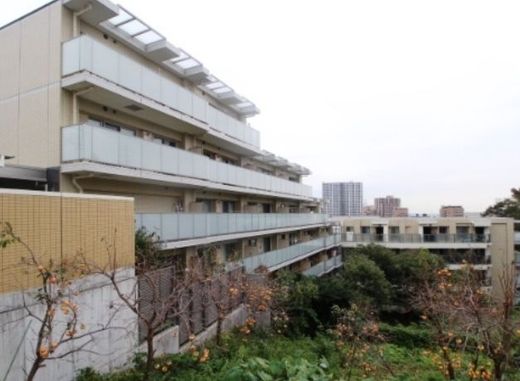 パレステージ溝の口 写真