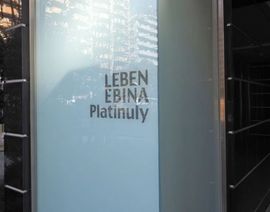 レーベン海老名Platinuly 物件写真 建物写真6