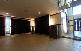 レジディア千鳥町 物件写真 建物写真4
