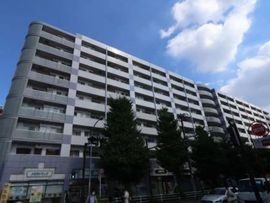 ニューシティ東戸塚パークハウス南の街 写真