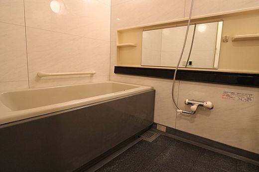 ライオンズシティ武蔵小杉 物件写真 建物写真13