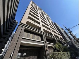 ナイス・エス・アリーナ川崎駅前通 物件写真 建物写真2