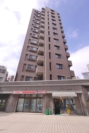 ナイスグランソレイユ武蔵小杉 物件写真 建物写真2