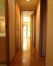 セレーノ武蔵中原 物件写真 建物写真6
