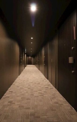 GENOVIA川崎Ⅴ (ジェノヴィア川崎Ⅴ) 物件写真 建物写真4