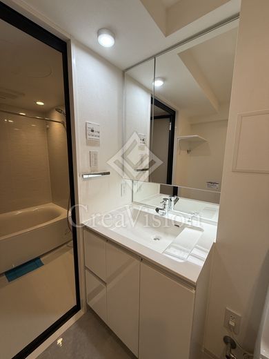 ルミーク大山 独立洗面所