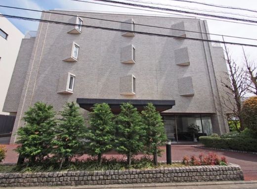 御殿山スカイマンション 写真