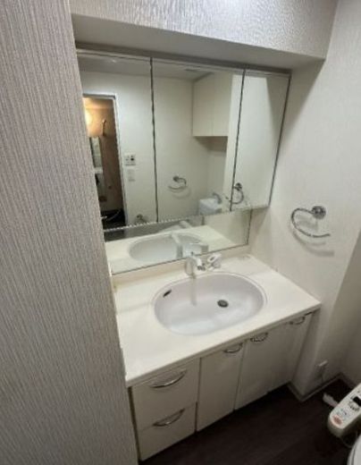 デュオスカーラ新宿Ⅱ 物件写真 建物写真12