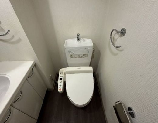 デュオスカーラ新宿Ⅱ 物件写真 建物写真14