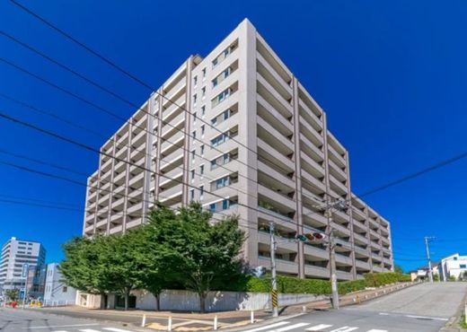 ドレッセあざみ野エスタフレンテ 写真
