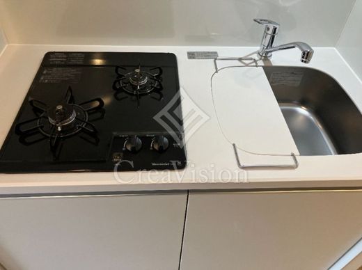 ルネサンスコート桜新町 部屋写真
