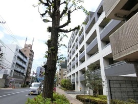ピアース三軒茶屋 物件写真 建物写真2