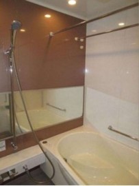 マークゼロワン曳舟タワー 物件写真 建物写真5