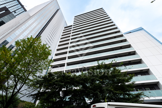 ザ・パークハウス新宿タワー 外観 物件画像11