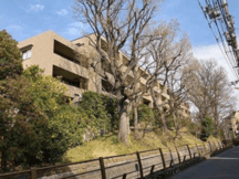 パークハウス等々力一丁目 物件写真 建物写真1