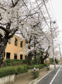 パークハウス等々力一丁目 物件写真 建物写真2