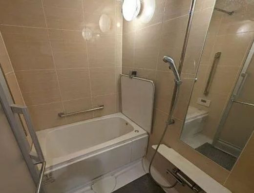 ロワール清澄白河 物件写真 建物写真11