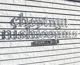 チェスナット西大島 写真