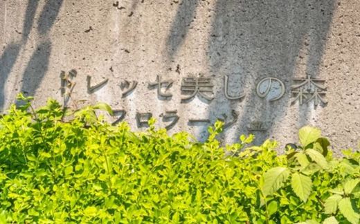 ドレッセ美しの森フロラージュ 物件写真 建物写真5