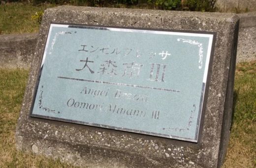 エンゼルブレッサ大森南3 物件写真 建物写真5