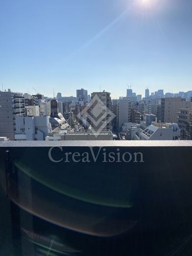 デュオフラッツ浅草田原町 バルコニー