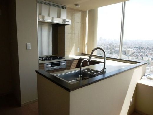 ザ・パークハウス三軒茶屋タワー 物件写真 建物写真22