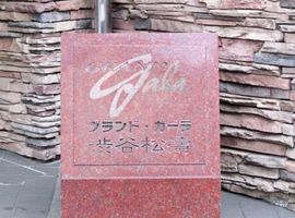 グランド・ガーラ渋谷松濤 物件写真 建物写真5