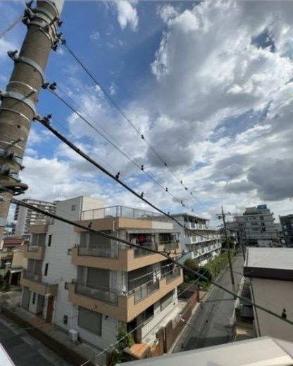 Kolet西新井本町 (コレット西新井本町)#15 物件写真 建物写真14