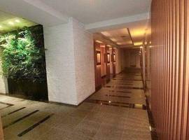 セルアージュ横濱関内エリーゼ 物件写真 建物写真5
