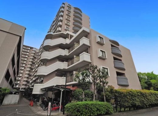 セソール川崎京町ハイライズフィフスピア 物件写真 建物写真2