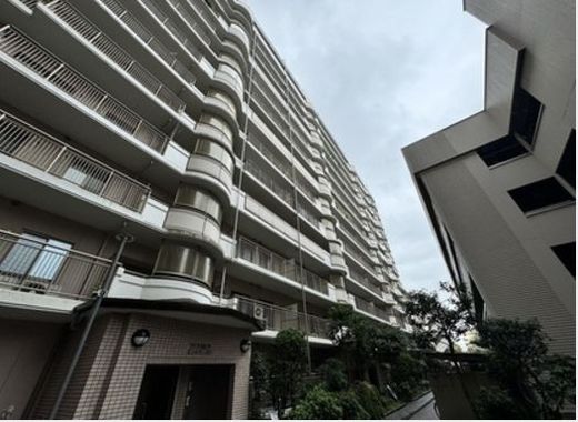 セソール川崎京町ハイライズフィフスピア 物件写真 建物写真4