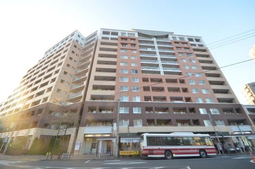 クレッセント国立ディアナプレイス 物件写真 建物写真2