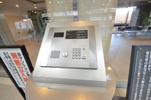 クレッセント国立ディアナプレイス 物件写真 建物写真6