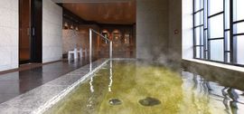 パークシティ柏の葉キャンパス ザ・ゲートタワー ウエスト 物件写真 建物写真5