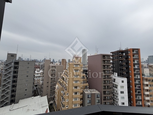 S-RESIDENCE新宿若松町 (エスレジデンス新宿若松町) 室内画像