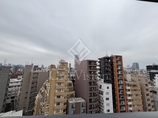S-RESIDENCE新宿若松町 (エスレジデンス新宿若松町) 1LDK　室内画像