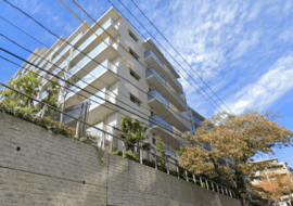 プラウド藤沢ウエスト 物件写真 建物写真2