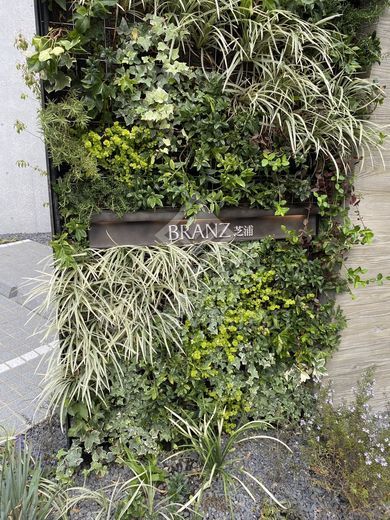 ブランズ芝浦 外観 物件画像6