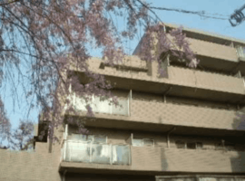 住友千石三丁目シティハウス 物件写真 建物写真2