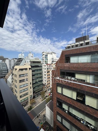 ザ・パークハビオ日本橋三越前 眺望